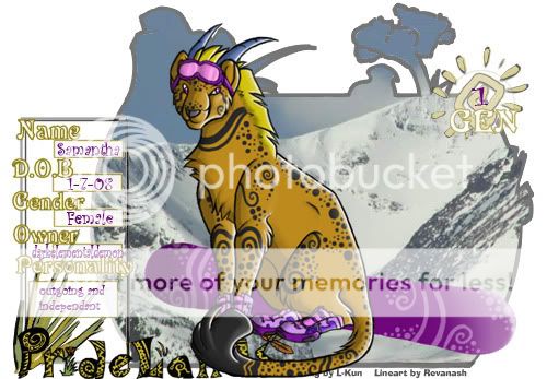 User Image